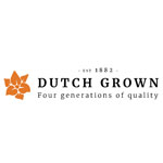 Dutch Grown
