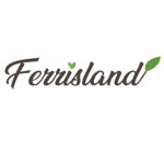 Ferrisland