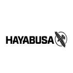 Hayabusa Fight