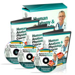 Human Anatomy Course