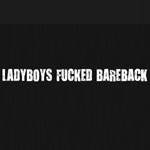 Ladyboys Fucked Bareback