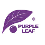 PURPLE LEAF
