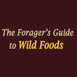 Wild Plants Guide